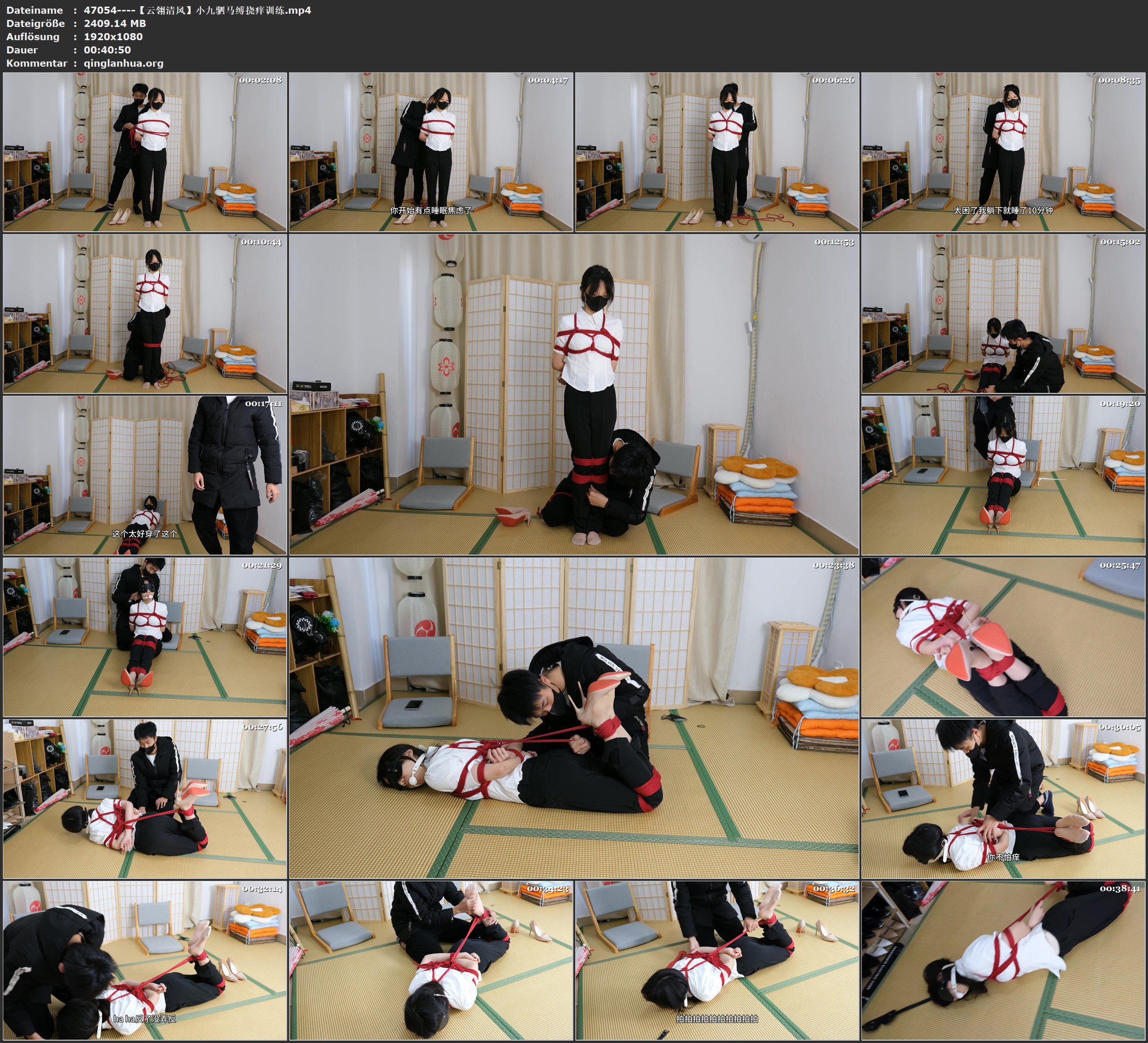 47054----【云翎清风】小九驷马缚挠痒训练.jpg