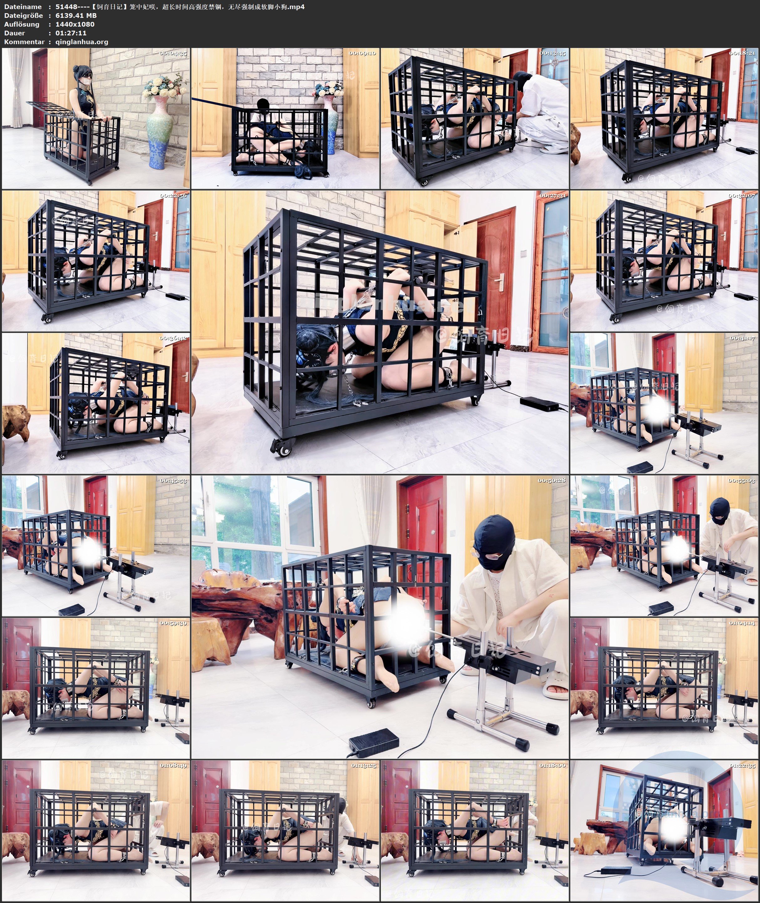 51448----【饲育日记】笼中妃咲，超长时间高强度禁锢，无尽强制成软脚小狗.jpg